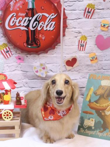 20230923モモちゃん